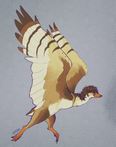 IMG 3107.png