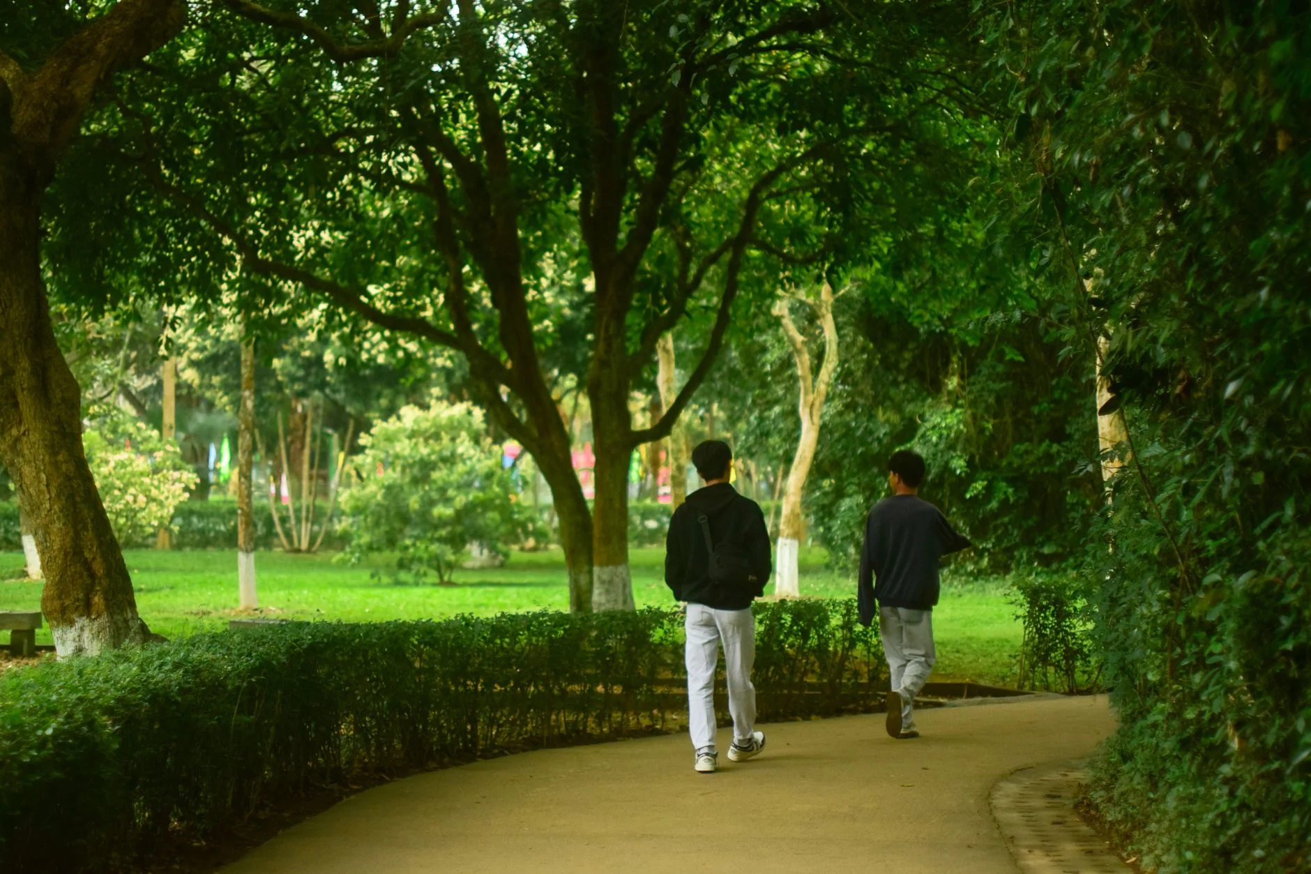 How to Integrate the Stroll into Your Daily Routine How to Integrate the Stroll into Your Daily Routine