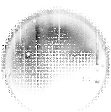 84623.gif