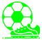 COPA DA LIGA INGLESA.png