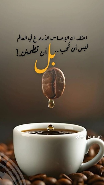  0 2025 0 0j 03.jpg