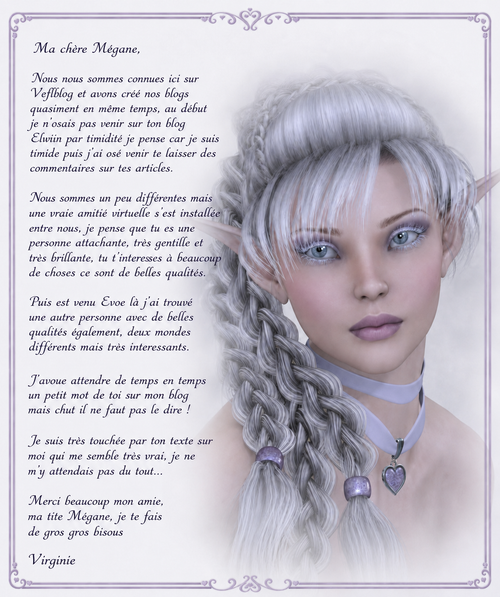 creation Virginie.png