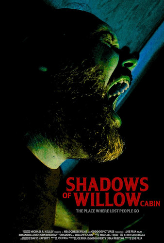 kiem Shadows Of Willow Cabin (2026).jpg