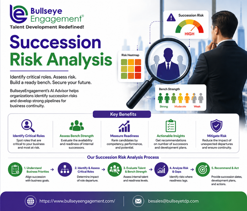 Succession Risk Analysiss.png