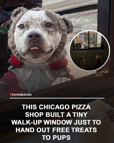 img facts.jpg