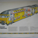 81321