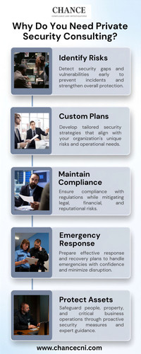 Why Do You Need Private Security Consulting.jpg