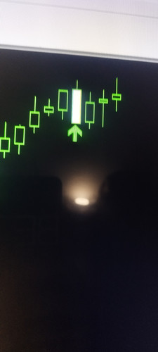 1000189296.jpg