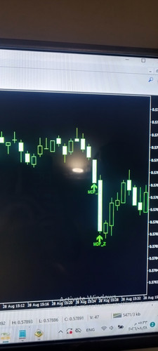 1000189298.jpg
