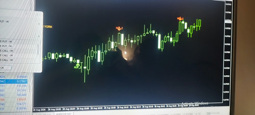 1000189300.jpg