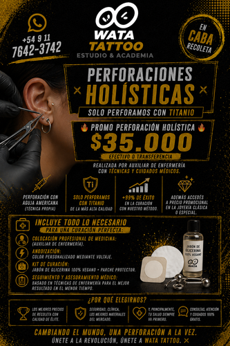 publicacion holistica perforacion.png