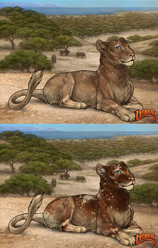30937.jpg
