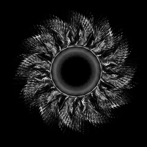 Maybe Outlived Yes.webp