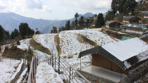 Camp Little Jaguar in Kanatal – A Perfect Escape into Nature & Adventure.jpg