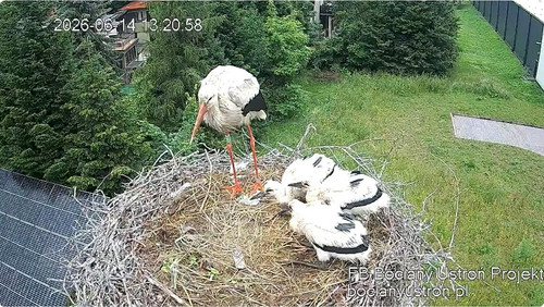 MWSnap422.jpg