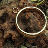 004 Weta giant Ring Prop Replica
