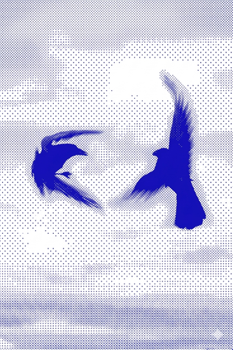 461124.png