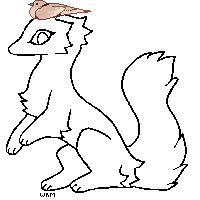 IMG 6739.png