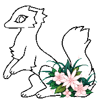 IMG 6792.png