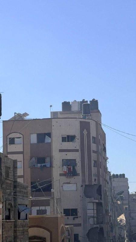 صورة الخبر
