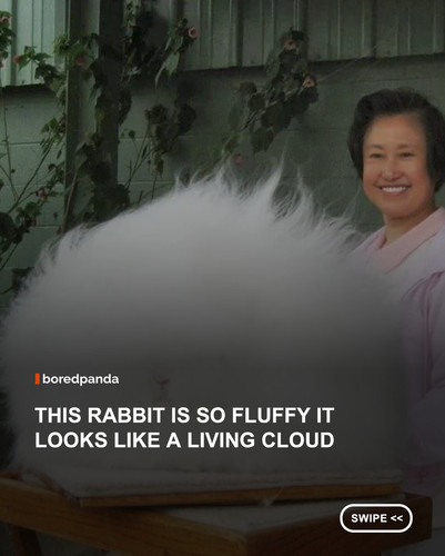 swipe to read.jpg
