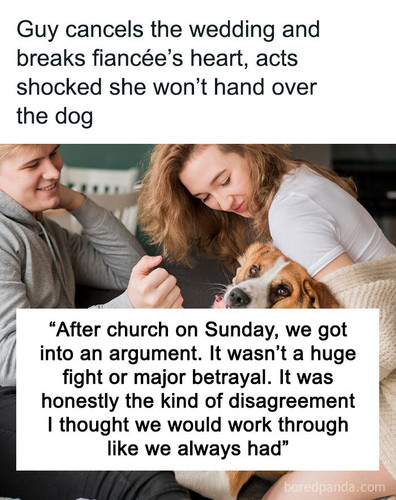 refusing hand dog called off wedding sharing.jpg