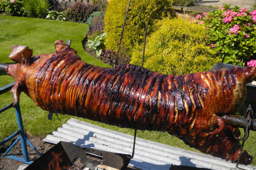Caterer in Guildford | Professional Event Catering Services | Barbecue Chefs.jpg