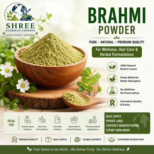 Brahmi Powder Contract Manufacturing A Complete Guide for Global Herbal Product Brands.png