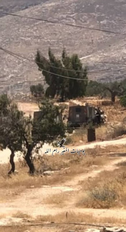 صورة الخبر