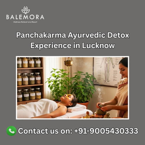 Panchakarma Ayurvedic Detox Experience in Lucknow.jpg