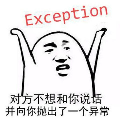 系统当面抛出一个异常时的无语表情