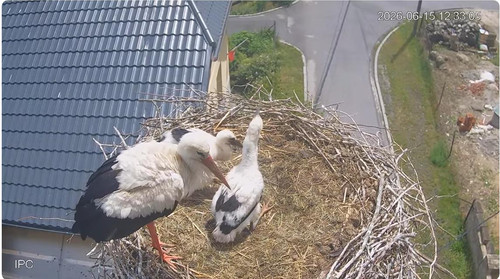 MWSnap826.jpg