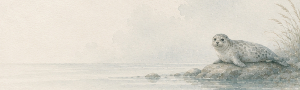 5a31baea 211c 4689 8b0b da4247059a87.jpg