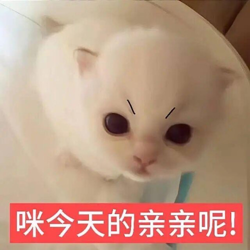 {\"DeviceModel\":\"iPhone17,2\",\"capa_image_quality_ios_main_flow_image_export_4k\":\"1\",\"capa_im.jpg