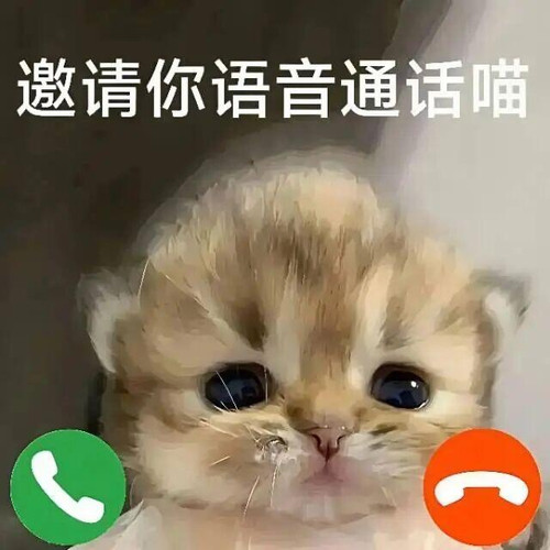 {\"DeviceModel\":\"iPhone17,2\",\"capa_image_quality_ios_main_flow_image_export_4k\":\"1\",\"capa_im.jpg