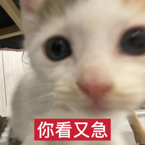 {\"capa_image_quality_upload_keep_hdr\":\"1\",\"capa_image_quality_remove_exif_optimize\":\"1\",\"ca.jpg