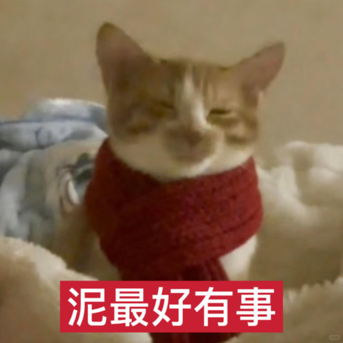 {\"capa_image_quality_process_sink\":\"1\",\"capa_image_quality_remove_exif_optimize\":\"1\",\"capa_.jpg
