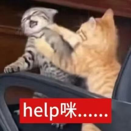 mmexport1781407262896.jpg