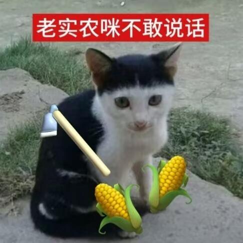mmexport1781407262811.jpg