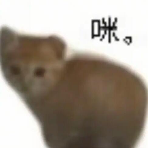 {\"capa_image_quality_upload_keep_hdr\":\"1\",\"capa_image_quality_ios_main_flow_image_export_4k\":\.jpg