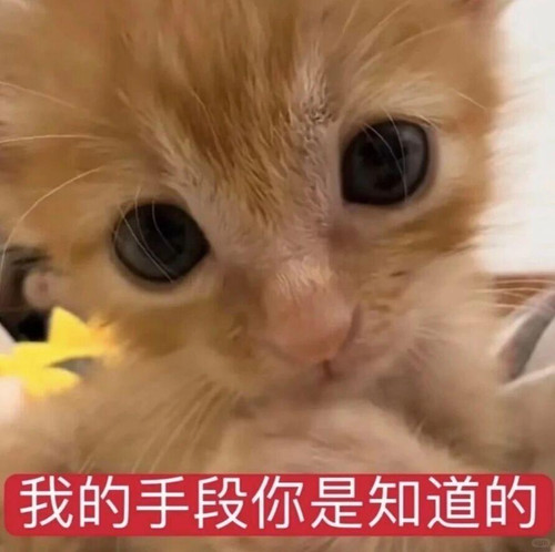 {"capa_image_quality_remove_exif_optimize":"1","capa_image_quality_upload_keep_hdr":"1"}.jpg