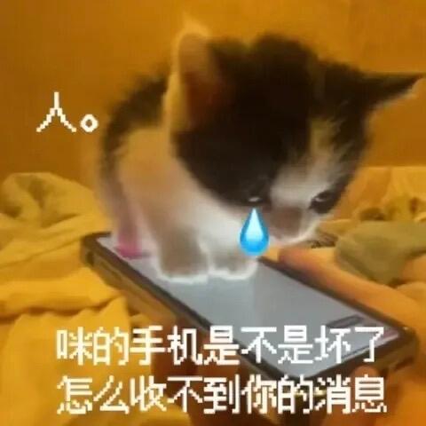 {\"capa_image_quality_remove_exif_optimize\":\"1\",\"capa_image_quality_ios_main_flow_image_export_4.jpg
