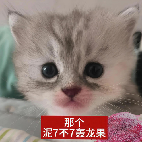 {\"capa_image_quality_remove_exif_optimize\":\"1\",\"capa_image_quality_ios_main_flow_image_export_4.jpg