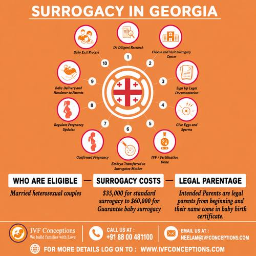 Surrogacy Services in Georgia.png
