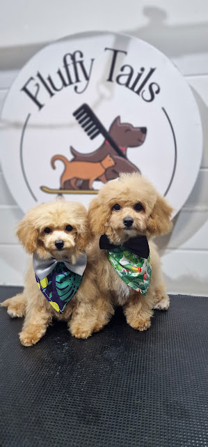 Professional pet groomers Doha.jpg
