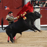 Cnl12Rt.th.jpg