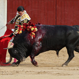 Cnl13OX.th.jpg