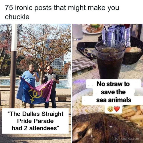 ironic funny.jpg