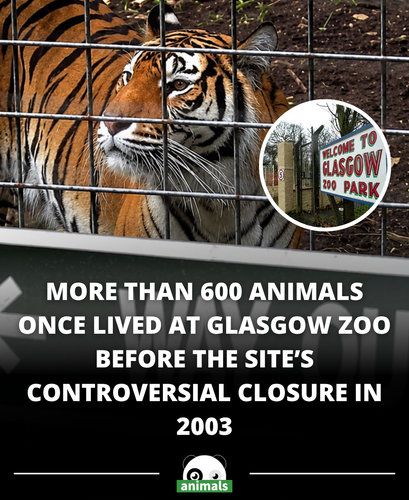 866. It has closed its gates 😢.png