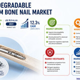 httpswww.24lifesciences.com 2026 06 15T102643.135